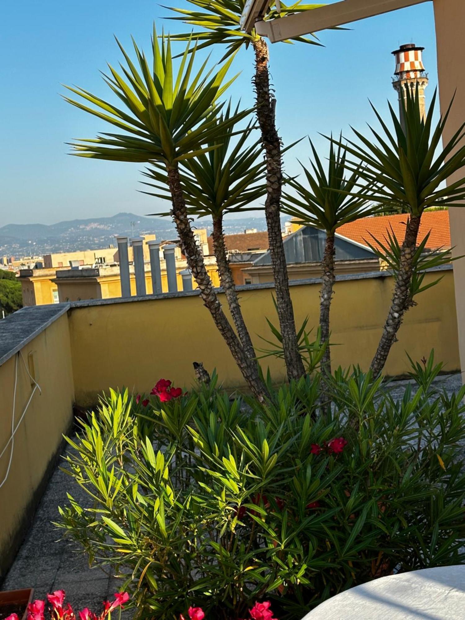 All Comfort Astoria Palace Roma Dış mekan fotoğraf